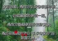 如何更好的维持一段长久的感情？有效沟通和信任是关键吗？