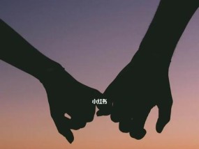 复合大作战（找回爱情不是梦）
