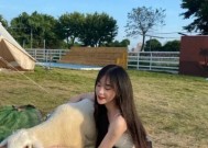 游戏失去玩家后如何有效挽回？挽回策略有哪些？