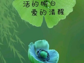 感情最高境界叫心疼？如何理解心疼在情感中的作用？