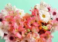 测试你的桃花运，让爱情一路畅通（如何测试你的桃花运）