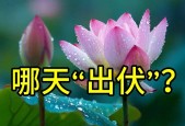 三伏天马上结束了，哪天“出伏”？今年出伏后还热多久？答案来了