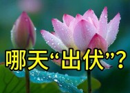 三伏天马上结束了，哪天“出伏”？今年出伏后还热多久？答案来了