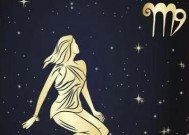 深入剖析处女座男生的爱情观念（一个挑剔的处女座男生眼中的完美爱情）