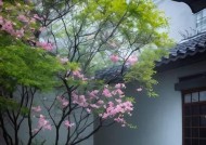 如何识别潜在出轨面相？6种特征揭示男人出轨倾向！