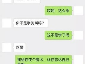 如何以和前任复合的聊天套路获得情人好感（掌握聊天技巧）