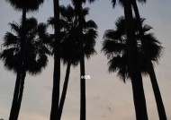 放弃还是坚持，挽回爱情的艰难决定（从后悔到拼命努力）