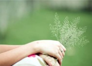 用感人情话挽回爱情的最新方法（15个必备情话）