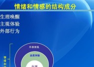 另一半为何坚决要分开？心理原因是什么？