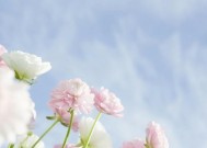 分手几年后如何赢回金牛男的心？有哪些有效策略？