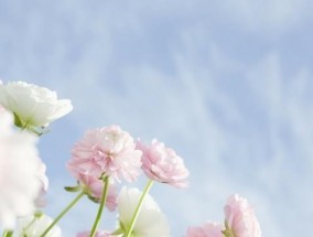 分手几年后如何赢回金牛男的心？有哪些有效策略？