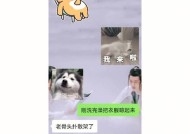 相亲时如何找到让人愉快的聊天话题？有哪些推荐的聊天话题？