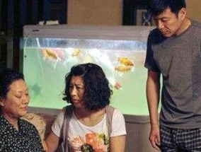 月子期间遭遇家庭暴力娘家建议离婚该如何处理？