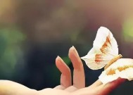如何用深情的说说挽回感情？挽回感情的句子有哪些？