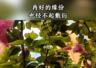 感情让人盲目？如何应对常见分手类型并挽回爱情？