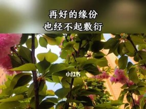 感情让人盲目？如何应对常见分手类型并挽回爱情？