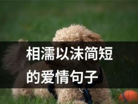 男朋友说我太敏感不适合谈恋爱？如何改善情感沟通？