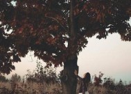 分手挽回套路：每一任的挽回方法都不一样？如何有效应对？