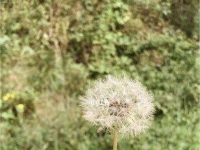 如何处理双方都放不下却逼自己分手的情况？挽回的正确方法是什么？