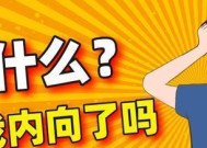 内向还是外向（通过测试）