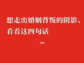 背叛之后的最佳反击（用爱和智慧走出背叛的阴影）
