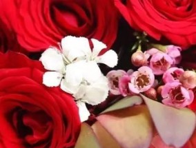 异地恋情侣如何花式秀恩爱？常见问题有哪些解决方法？