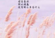 面对单恋，何时该放手？放弃的时机如何判断？