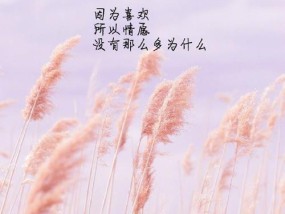 面对单恋，何时该放手？放弃的时机如何判断？