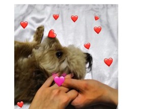 姐弟恋真的美好吗？大众对姐弟恋的看法是什么？