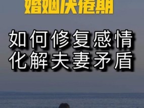 如何解决夫妻复合后再次发生矛盾（探讨夫妻复合后如何更好地维系感情）
