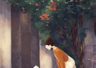 结婚后感到后悔该如何处理？寻求婚姻咨询的途径是什么？