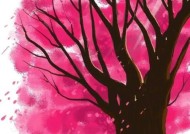 如何维持长久的感情？两人的感情保鲜秘诀是什么？