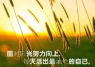 已婚女人婚外恋的真实心声是什么？为何她们说收获的只有痛苦？