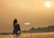 如何拥抱独一无二的自己？面对社会压力的解决方法是什么？
