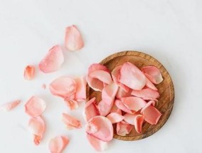 前任有了新欢但仍然联系我，如何挽回这段感情？