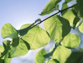 果断结束婚外情（如何和情人挥手告别）