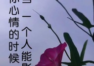 男人的婚外情（心情感慨万千）