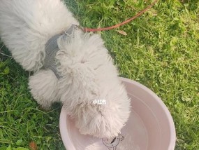 你会被宠爱一生吗进来测试一下吧！？测试结果揭示你的爱情命运！