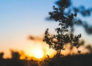 男人心里有你却不肯复合？如何判断他的真实想法并采取行动？