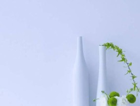 24岁一事无成感到迷茫？如何找到人生方向和动力？