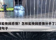 如何以分手挽回爱情（成功挽回爱情的关键在于放手与反思）