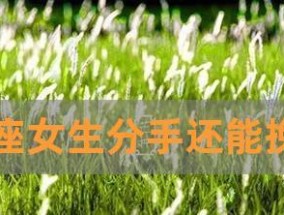 金牛男决定了的事怎么挽回？挽回金牛男的正确方法是什么？