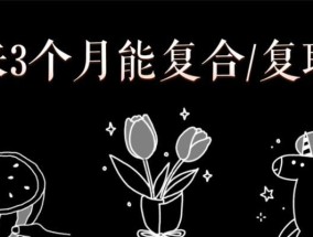 断联后如何成功复联？掌握这些技巧与方法！
