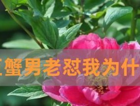 揭秘巨蟹男的“挽回无望”征兆（如何识别巨蟹男情感彻底崩溃的迹象）