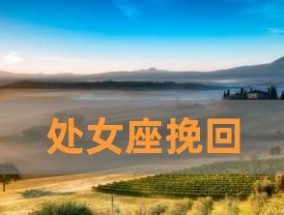 挽回处女座女生的心（寻找她内心的需求和策略）