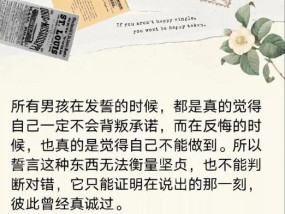 挽回爱情的艺术（分手后的挽回信写作指南）