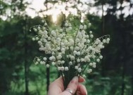 珍惜身旁的苦难伴侣（结婚后）