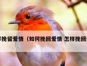 触碰男人底线，如何挽回失去的爱情（失去男人的信任和爱情）