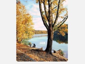 如何彻底放下曾经的伤痛？