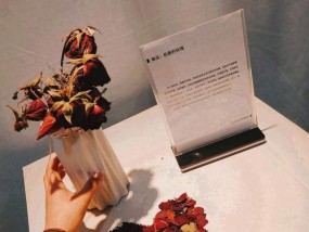 挽回快餐恋爱的秘诀（如何用心经营短暂的感情）
